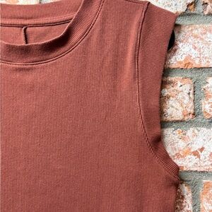 Target Sleeveless Ribbed Mini Dress in Rust